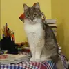 Отзыв от Зоя Авдеева